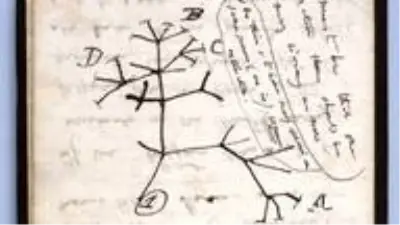 Charles Darwin: Doğa bilimcinin milyonlarca dolar değerinde iki defteri 20 yıldır kayıp, Cambridge Üniversitesi 'Muhtemelen çalındılar' diyor Charles Darwin: Doğa bilimcinin milyonlarca dolar değerinde iki defteri 20 yıldır kayıp, Cambridge Üniversitesi 'Muhtemelen çalındılar' diyor