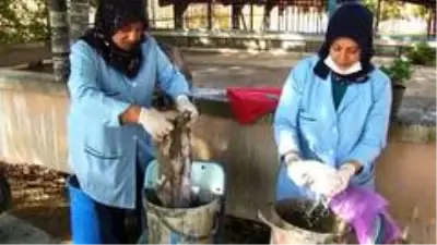 Çiçekler, atık çarşaflardan yapılan saksılarda hayat buluyor Çiçekler, atık çarşaflardan yapılan saksılarda hayat buluyor