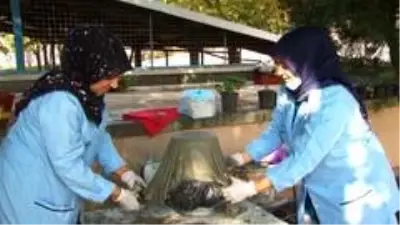 Çiçekler, atık çarşaflardan yapılan saksılarda hayat buluyor Çiçekler, atık çarşaflardan yapılan saksılarda hayat buluyor