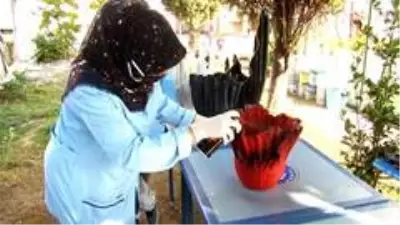 Çiçekler, atık çarşaflardan yapılan saksılarda hayat buluyor Çiçekler, atık çarşaflardan yapılan saksılarda hayat buluyor