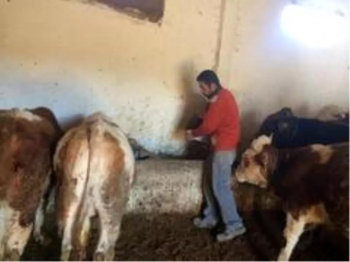 Çiftçiler girdi maliyetlerinin düşmesini bekliyor