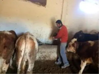 Çiftçiler girdi maliyetlerinin düşmesini bekliyor Çiftçiler girdi maliyetlerinin düşmesini bekliyor