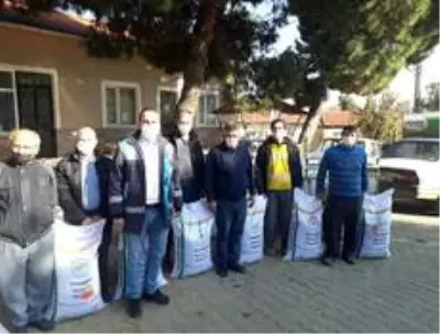 Çiftçilere ücretsiz Macar fiği tohumu dağıtıldı Çiftçilere ücretsiz Macar fiği tohumu dağıtıldı