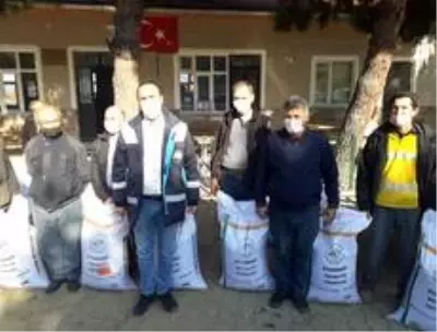 Çiftçilere ücretsiz Macar fiği tohumu dağıtıldı Çiftçilere ücretsiz Macar fiği tohumu dağıtıldı
