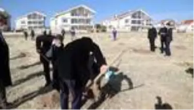 Çubuk'ta öğretmenler için hatıra ormanı oluşturuldu Çubuk'ta öğretmenler için hatıra ormanı oluşturuldu