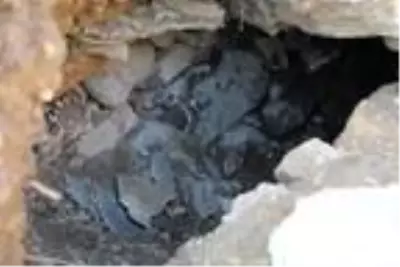 DÜZCE- Antik kentte bebek iskeleti ve su arkı bulundu DÜZCE- Antik kentte bebek iskeleti ve su arkı bulundu