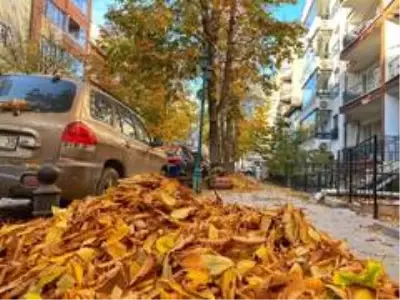 Eskişehir'de eşsiz sonbahar manzarası Eskişehir'de eşsiz sonbahar manzarası
