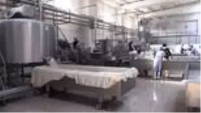 Hatay künefesinde kullanılan tuzsuz peynir Orta Doğu ülkelerine ihraç ediliyor Hatay künefesinde kullanılan tuzsuz peynir Orta Doğu ülkelerine ihraç ediliyor