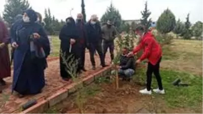 Her şehit için bir fidan toprakla buluşturuldu Her şehit için bir fidan toprakla buluşturuldu