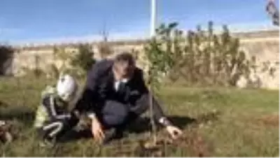 İzmir depreminde ölenler anısına fidan dikildi İzmir depreminde ölenler anısına fidan dikildi
