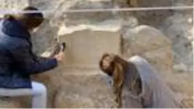 1500 yıllık mezar taşındaki o mesaj şok etti 1500 yıllık mezar taşındaki o mesaj şok etti