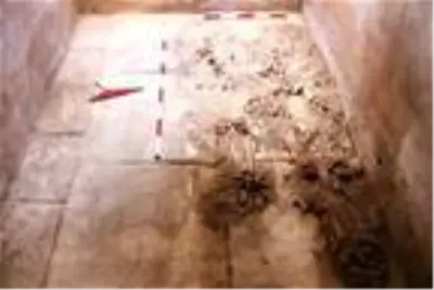 1500 yıllık mezar taşındaki o mesaj şok etti 1500 yıllık mezar taşındaki o mesaj şok etti