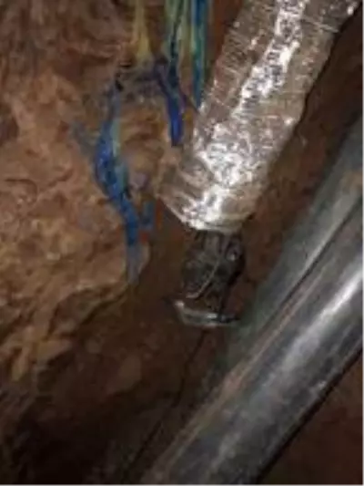 Kaçak kazı yapan şahıslar, tünele havalandırma sistemi bile kurmuş Kaçak kazı yapan şahıslar, tünele havalandırma sistemi bile kurmuş
