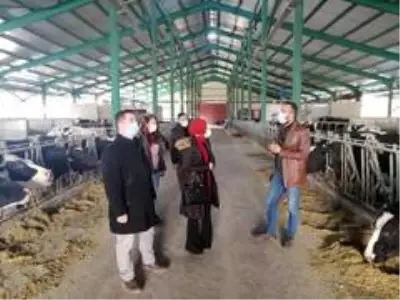 Kaymakam Kurt'un besihane ve süt üretim tesisini ziyareti Kaymakam Kurt'un besihane ve süt üretim tesisini ziyareti