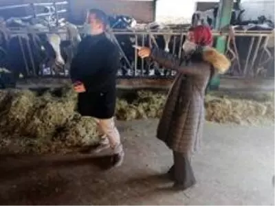 Kaymakam Kurt'un besihane ve süt üretim tesisini ziyareti Kaymakam Kurt'un besihane ve süt üretim tesisini ziyareti