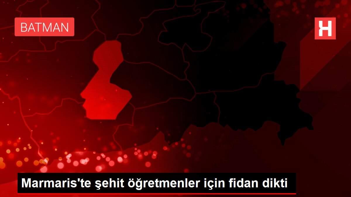 Marmaris'te şehit öğretmenler için fidan dikti Marmaris'te şehit öğretmenler için fidan dikti