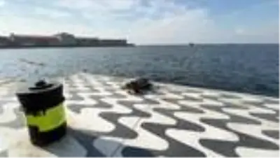 Son Dakika | Ölü caretta caretta sahile vurdu Son Dakika | Ölü caretta caretta sahile vurdu