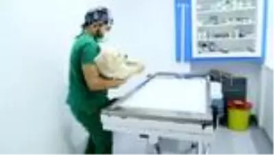 Son dakika haberi: Patileri kesilen köpekle ilgili 3 kişi gözaltına alındı Son dakika haberi: Patileri kesilen köpekle ilgili 3 kişi gözaltına alındı