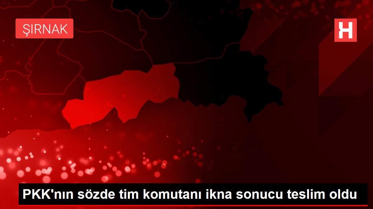 PKK'nın sözde tim komutanı ikna sonucu teslim oldu PKK'nın sözde tim komutanı ikna sonucu teslim oldu