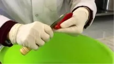 Samandağ biberi 'Aşk Reçeli' oldu Samandağ biberi 'Aşk Reçeli' oldu
