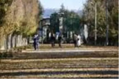 Son dakika! Temizlik işçilerinden dökülen yapraklarla kalp şeklinde, 'maske tak' uyarısı Son dakika! Temizlik işçilerinden dökülen yapraklarla kalp şeklinde, 'maske tak' uyarısı