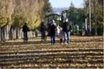 Son dakika! Temizlik işçilerinden dökülen yapraklarla kalp şeklinde, 'maske tak' uyarısı Son dakika! Temizlik işçilerinden dökülen yapraklarla kalp şeklinde, 'maske tak' uyarısı