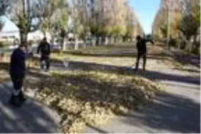 Son dakika! Temizlik işçilerinden dökülen yapraklarla kalp şeklinde, 'maske tak' uyarısı Son dakika! Temizlik işçilerinden dökülen yapraklarla kalp şeklinde, 'maske tak' uyarısı