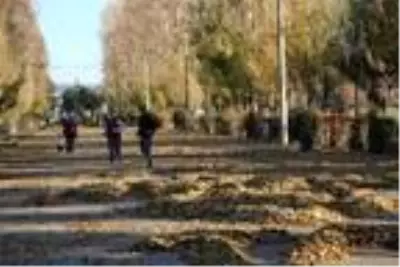 Son dakika! Temizlik işçilerinden dökülen yapraklarla kalp şeklinde, 'maske tak' uyarısı Son dakika! Temizlik işçilerinden dökülen yapraklarla kalp şeklinde, 'maske tak' uyarısı