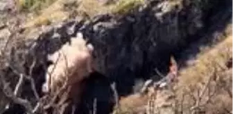Bitlis: Son dakika haberi | Teröristlerin kullandığı 3 mağara kullanılamaz hale getirildi Bitlis: Son dakika haberi | Teröristlerin kullandığı 3 mağara kullanılamaz hale getirildi