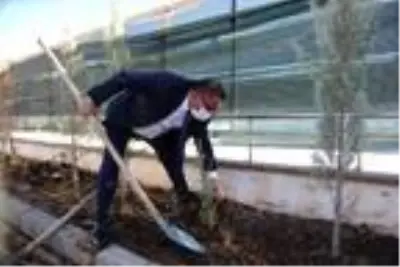 Tunceli'de şehit 28 öğretmen için fidan dikildi Tunceli'de şehit 28 öğretmen için fidan dikildi