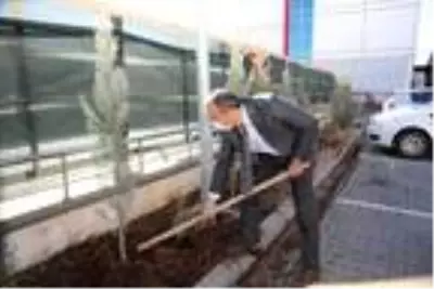 Tunceli'de şehit 28 öğretmen için fidan dikildi Tunceli'de şehit 28 öğretmen için fidan dikildi