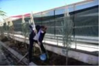 Tunceli'de şehit 28 öğretmen için fidan dikildi Tunceli'de şehit 28 öğretmen için fidan dikildi