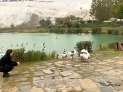 Turizm için Kaplıca araştırması Turizm için Kaplıca araştırması