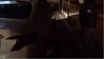 Uyuşturucu operasyonlarında 6 kişi tutuklandı Uyuşturucu operasyonlarında 6 kişi tutuklandı
