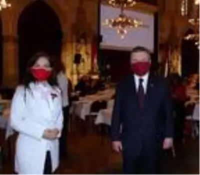 Viyana eyalet milletvekilleri için yemin töreni düzenlendi Viyana eyalet milletvekilleri için yemin töreni düzenlendi