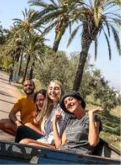 Yabancı gönüllü öğrenciler, zeytin hasadına katıldı Yabancı gönüllü öğrenciler, zeytin hasadına katıldı