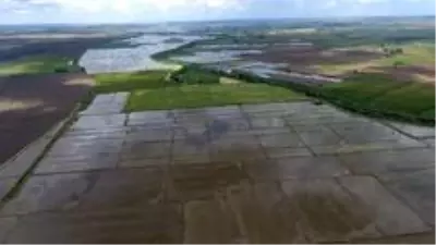 Kırklareli'de 114 bin dönüm sulanan alanda ülkeye 338 milyon lira kazandırıldı Kırklareli'de 114 bin dönüm sulanan alanda ülkeye 338 milyon lira kazandırıldı