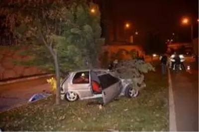 Ağaca çarpan aracın otomobil sürücüsü hayatını kaybetti Ağaca çarpan aracın otomobil sürücüsü hayatını kaybetti