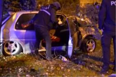 Ağaca çarpan aracın otomobil sürücüsü hayatını kaybetti Ağaca çarpan aracın otomobil sürücüsü hayatını kaybetti