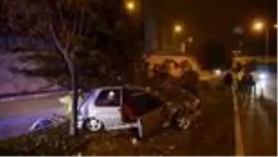 Ağaca çarpan aracın sürücüsü hayatını kaybetti Ağaca çarpan aracın sürücüsü hayatını kaybetti