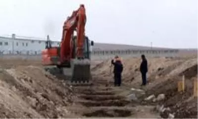 - Ağrı'da kış öncesi 200'e yakın mezar kazıldı - Ağrı'da kış öncesi 200'e yakın mezar kazıldı