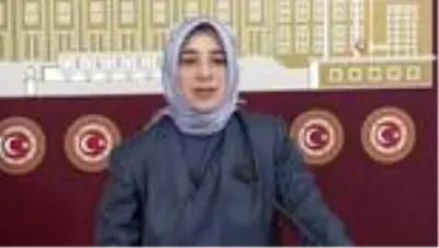 AK Parti Grup Başkanvekili Özlem Zengin: 'Kadına şiddet konusunu rakamlar üzerinden konuşmaktan vazgeçelim' AK Parti Grup Başkanvekili Özlem Zengin: 'Kadına şiddet konusunu rakamlar üzerinden konuşmaktan vazgeçelim'