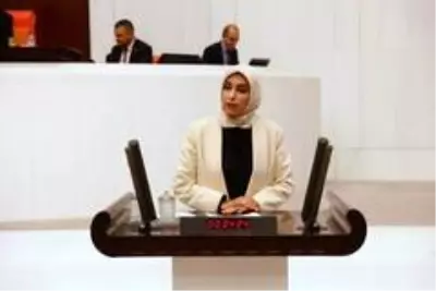 AK Parti Milletvekili Ban, NATO PA ekonomi ve güvenlik komisyonu Başkan Yardımcılığı görevine seçildi AK Parti Milletvekili Ban, NATO PA ekonomi ve güvenlik komisyonu Başkan Yardımcılığı görevine seçildi