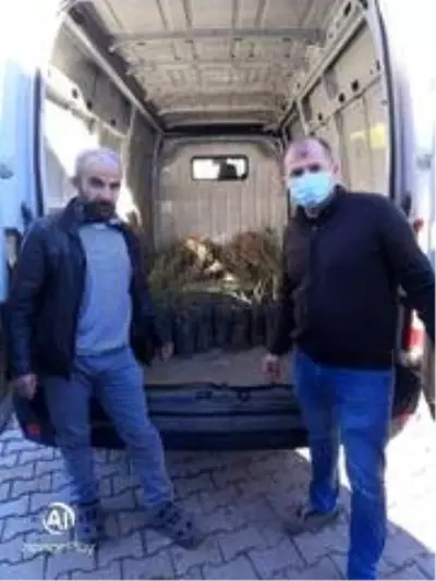 Alucra'ya 6 adet meyve bahçesi kuruluyor Alucra'ya 6 adet meyve bahçesi kuruluyor