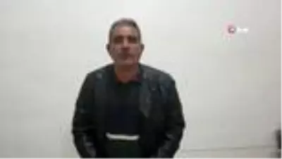 Anne diyen kedi görenleri hayretler içinde bıraktı Anne diyen kedi görenleri hayretler içinde bıraktı
