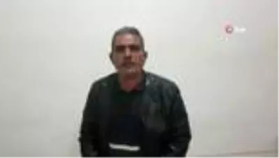 Anne diyen kedi görenleri hayretler içinde bıraktı Anne diyen kedi görenleri hayretler içinde bıraktı