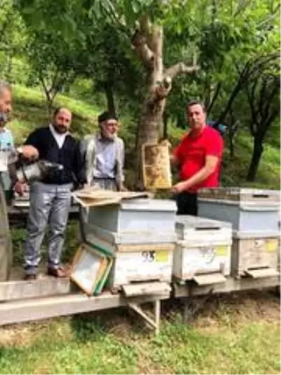 Arılarda kışlatma dönemi başladı Arılarda kışlatma dönemi başladı