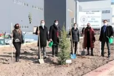 ASO 1.OSB'de Öğretmenler Günü anısına 181adet fidan dikildi ASO 1.OSB'de Öğretmenler Günü anısına 181adet fidan dikildi