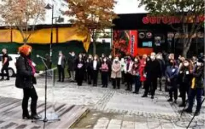 Avcılar'da kadınlar için zeytin ağaçları dikildi Avcılar'da kadınlar için zeytin ağaçları dikildi