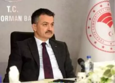Son dakika haber! Bakan Pakdemirli, orman teşkilatına seslendi: 'Hava gücü filomuzu daha da güçlendiriyoruz' Son dakika haber! Bakan Pakdemirli, orman teşkilatına seslendi: 'Hava gücü filomuzu daha da güçlendiriyoruz'